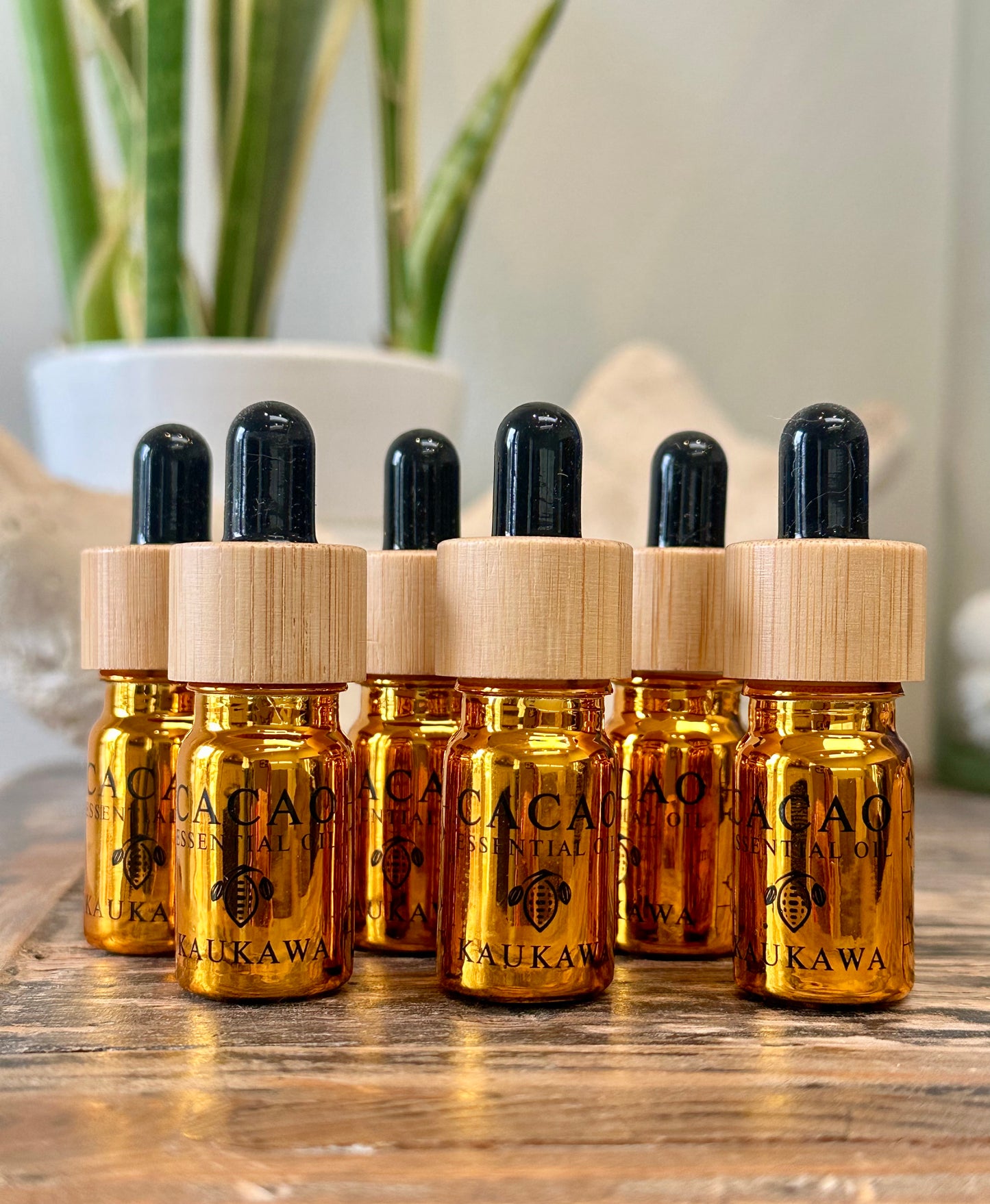 Cacao Oil Bundle of 3